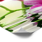 Orchide ripple poster (Ecke)