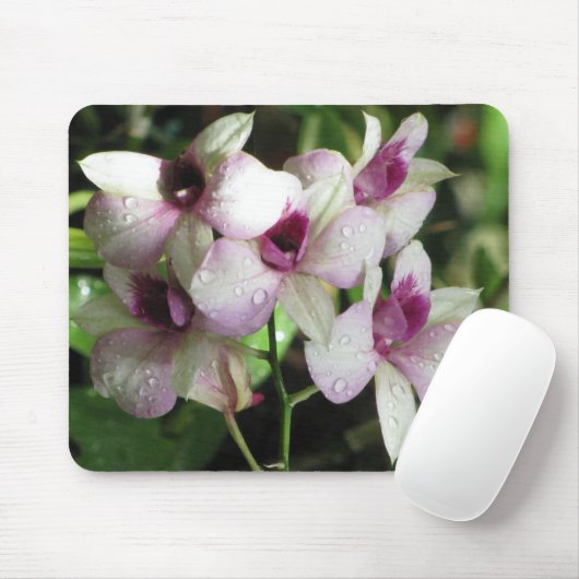 Orchideas mousepad (Mit Mouse)