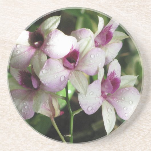 Orchideas Untersetzer (Vorne)