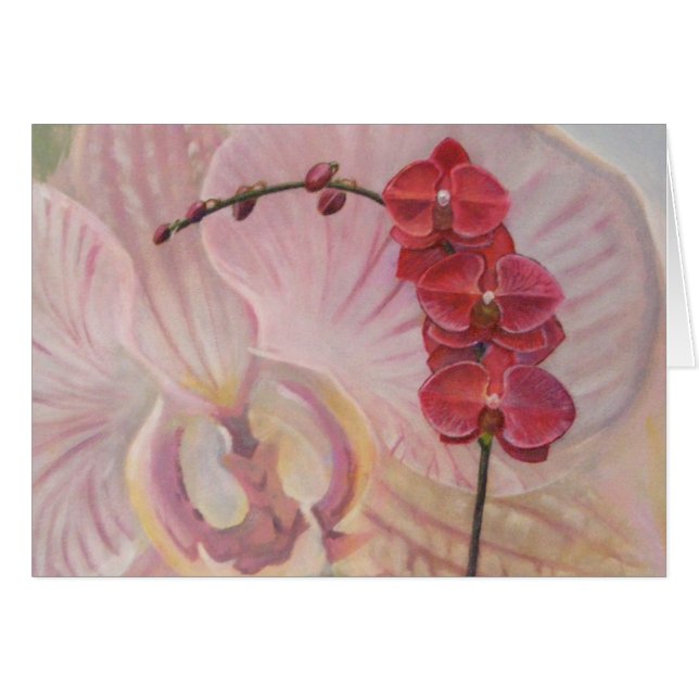 Orchidee (Vorderseite (Horizontal))