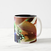 Orchidee 12 zweifarbige tasse (VorderseiteRechts)