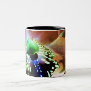 Orchidee 12 zweifarbige tasse