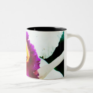 Orchidee 37 zweifarbige tasse
