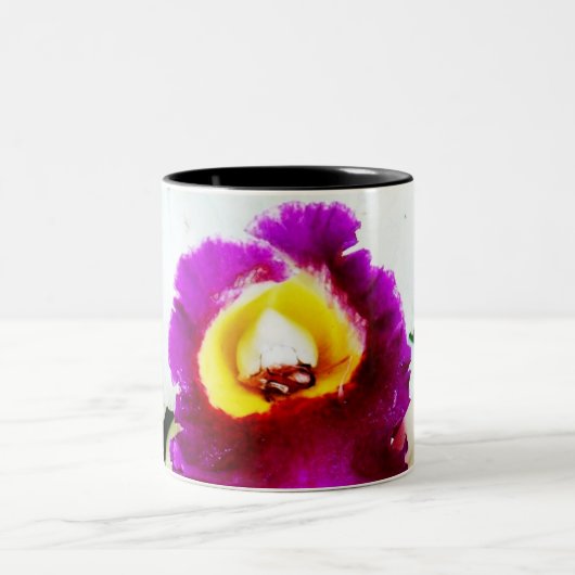 Orchidee 37 zweifarbige tasse (Mittel)