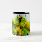 Orchidee 5 zweifarbige tasse (Mittel)