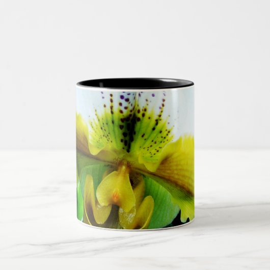 Orchidee 5 zweifarbige tasse (Mittel)
