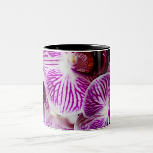 Orchidee 9 zweifarbige tasse (Mittel)