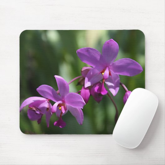 Orchidee auf Mousepad (Mit Mouse)
