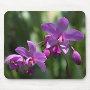 Orchidee auf Mousepad