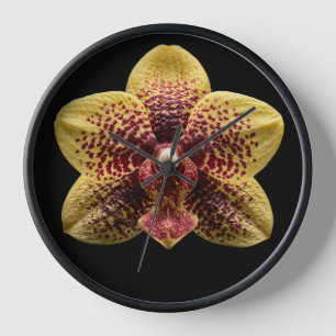 Orchidee auf schwarzem Hintergrund Uhr