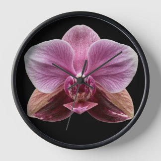 Orchidee auf schwarzem Hintergrund Uhr