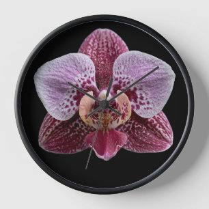 Orchidee auf schwarzem Hintergrund Uhr