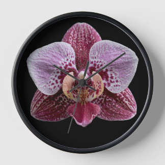 Orchidee auf schwarzem Hintergrund Uhr