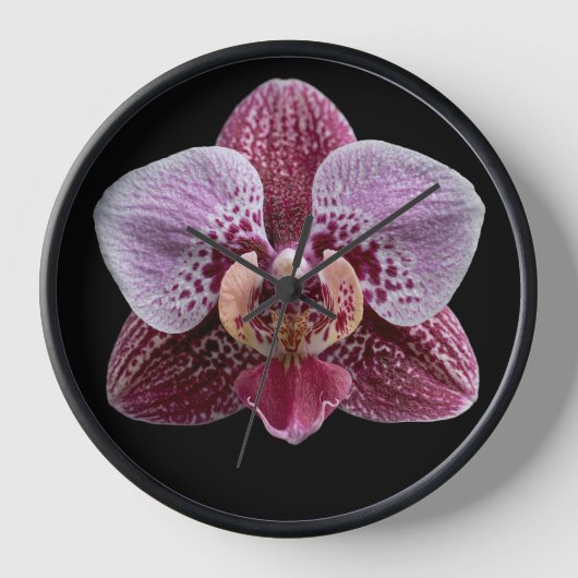 Orchidee auf schwarzem Hintergrund Uhr (Vorderseite)