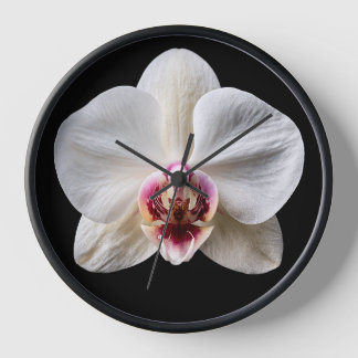 Orchidee auf schwarzem Hintergrund Uhr