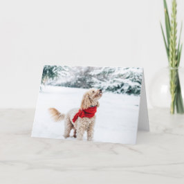 Orchidee auf weißem Hintergrund Feiertagskarte