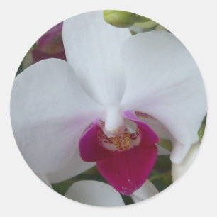 Orchidee aus weißer und lila Motte auf Aufklebern Runder Aufkleber