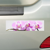 Orchidee Autoaufkleber (Auf Auto)