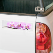 Orchidee Autoaufkleber (Auf Lkw)