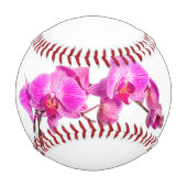 Orchidee Baseball (Rückseite)