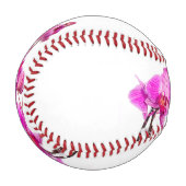 Orchidee Baseball (Vorderseite Links)