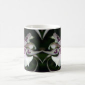 Orchidee Beallara Tasse (Mittel)