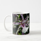 Orchidee Beallara Tasse (Links)