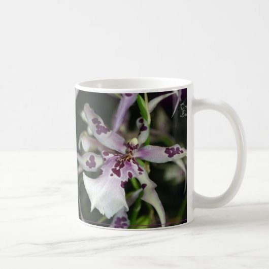 Orchidee Beallara Tasse (Rechts)