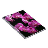 Orchidee blüht Notizbuch Notizblock (Rechte Seite)