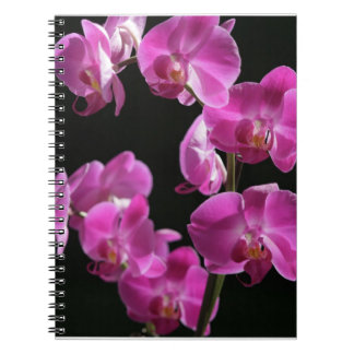 Orchidee blüht Notizbuch Notizblock