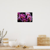 Orchidee Blume Farbenfrohe Blossom Dekoration Blos (Küche)