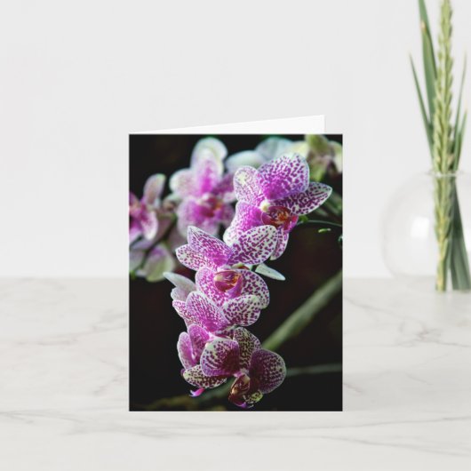 Orchidee Blume Foto Note Card Karte (Vorderseite)
