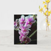 Orchidee Blume Foto Note Card Karte (Gelbe Blume)