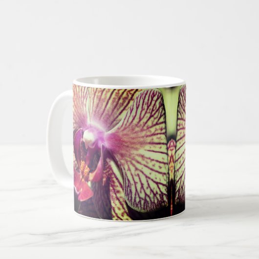 Orchidee Blume Nah Kaffeetasse (Vorderseite Links)