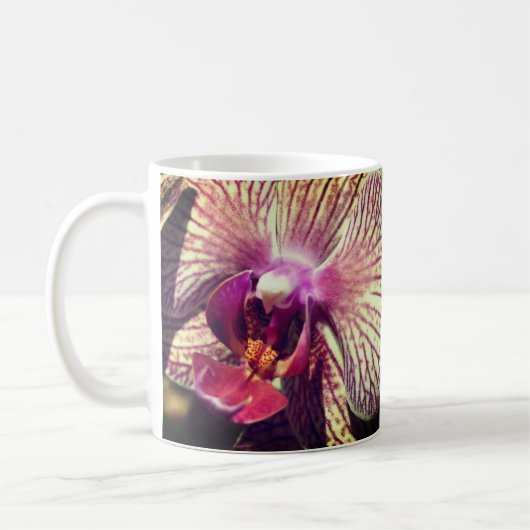 Orchidee Blume Nah Kaffeetasse (Links)