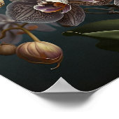 Orchidee Blume Weißes Motiv Poster (Ecke)
