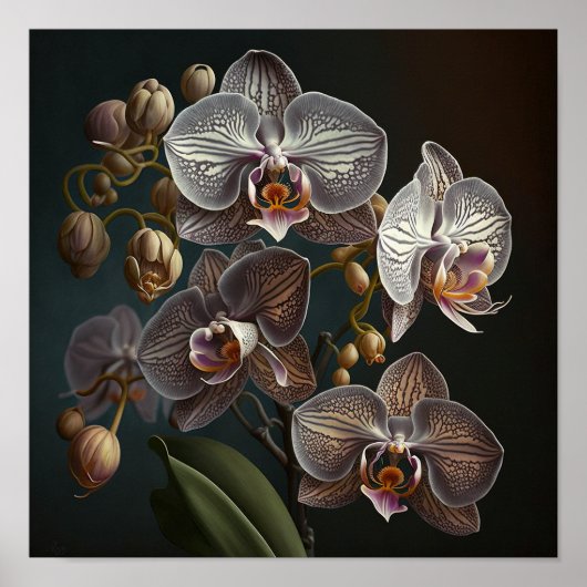 Orchidee Blume Weißes Motiv Poster (Vorne)
