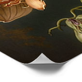 Orchidee Blume Weißes Motiv Poster (Ecke)