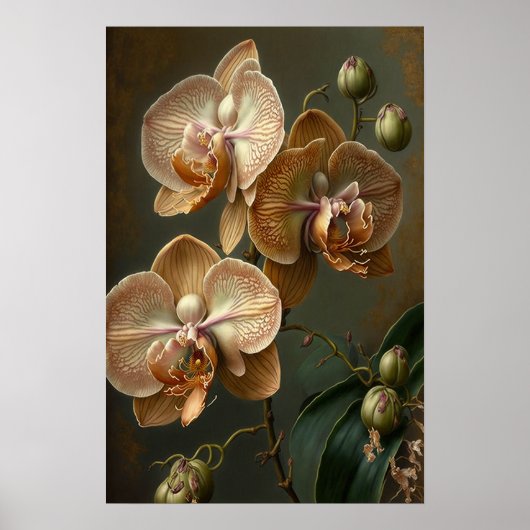 Orchidee Blume Weißes Motiv Poster (Vorne)