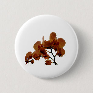 Orchidee Button