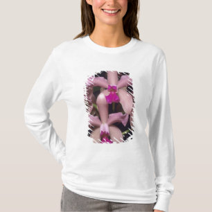 Orchidee, (Cattleya amethystoglossa), Osten T-Shirt