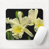 Orchidee cattleya (Deesse Charles) Blumen Mousepad (Mit Mouse)