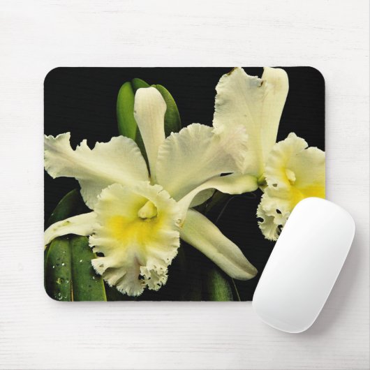 Orchidee cattleya (Deesse Charles) Blumen Mousepad (Mit Mouse)