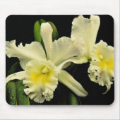 Orchidee cattleya (Deesse Charles) Blumen Mousepad (Vorne)