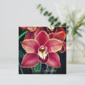 Orchidee. Cymbidium (Stehend Vorderseite)