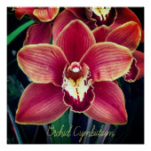Orchidee. Cymbidium Poster (Vorderseite)