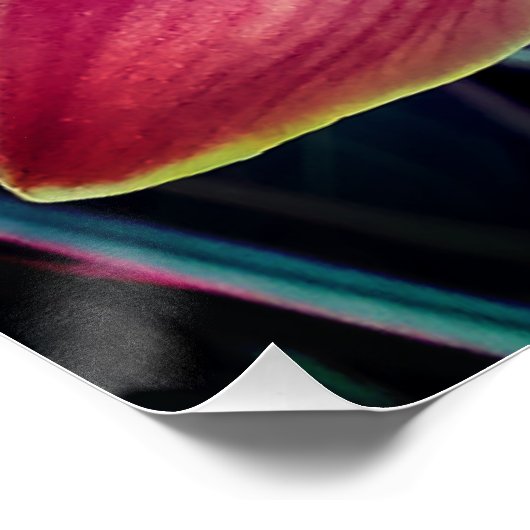 Orchidee. Cymbidium Poster (Ecke)