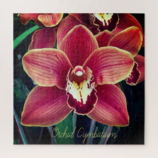 Orchidee. Cymbidium Puzzle (Vertikal)
