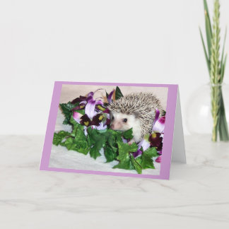 Orchidee der Igel Karte
