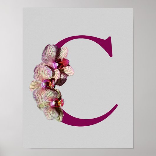 Orchidee Elegantes Monogramm Initiale C Poster (Vorne)